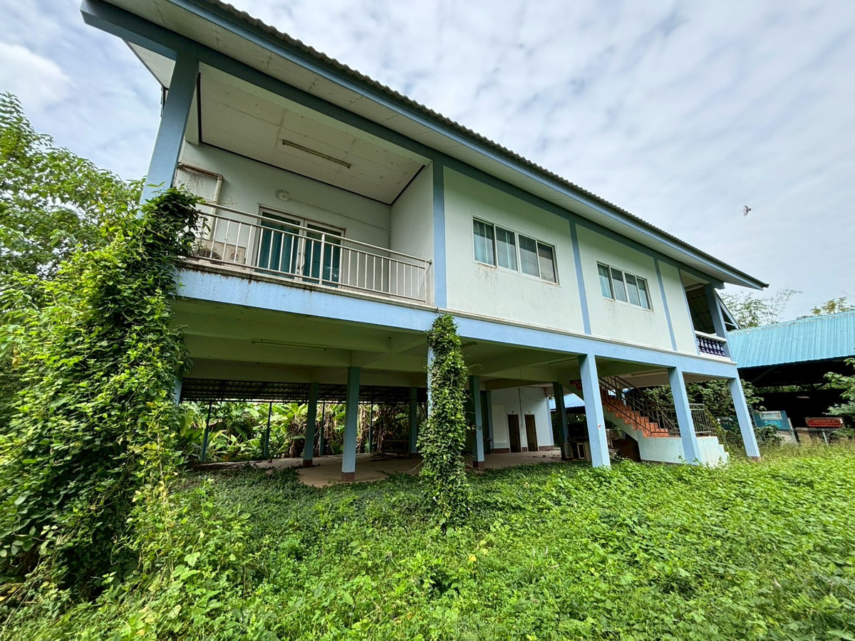JK2 2729386 : Outside Phitsanulok project – รูปที่ 3