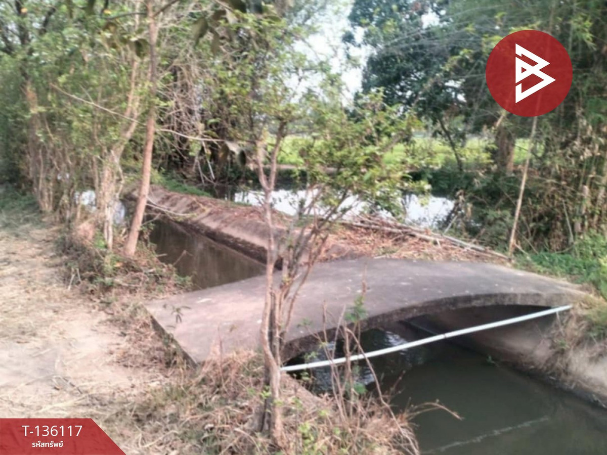 ขายที่ดิน เนื้อที่ 7 ไร่ 75 ตร.วา เสลภูมิ ร้อยเอ็ด – รูปที่ 4