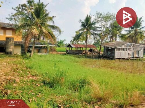 Land for sale, area 7 rai 75 sq m, Selaphum, Roi Et.