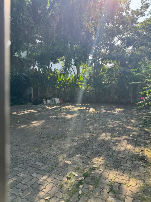 ให้เช่า ที่ดิน Land Sukhumvit 75 ตร.วา 300 ตร.ม. ใกล้  BTS  Phromphong 