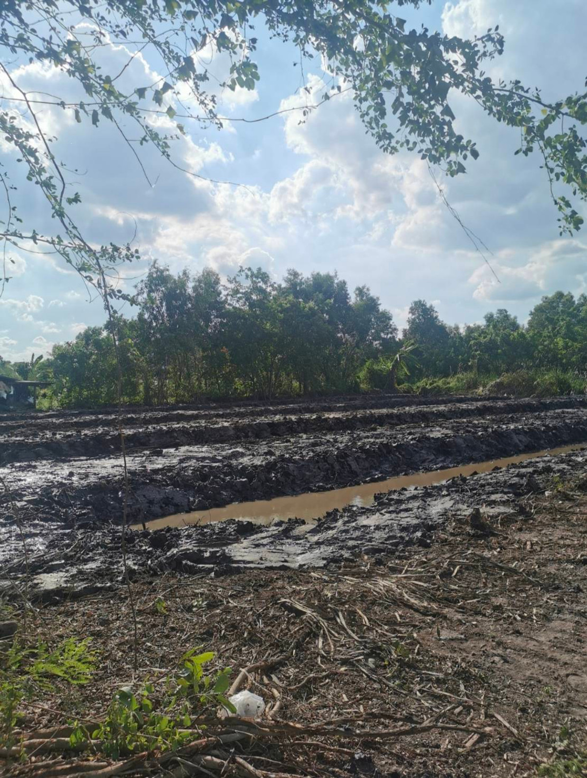 Empty land for sale, 1-2-14 rai, Lam Luk Ka, Khlong 13, Sai Klang, near the community, only 400 m into the alley. – รูปที่ 2