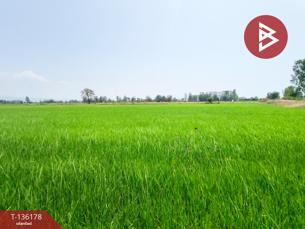 Land for sale, area 13 rai 3 ngan 60 sq m, Phichai, Uttaradit. Land for sale, area 13 rai 3 ngan 60 sq m, Phichai, Uttaradit.