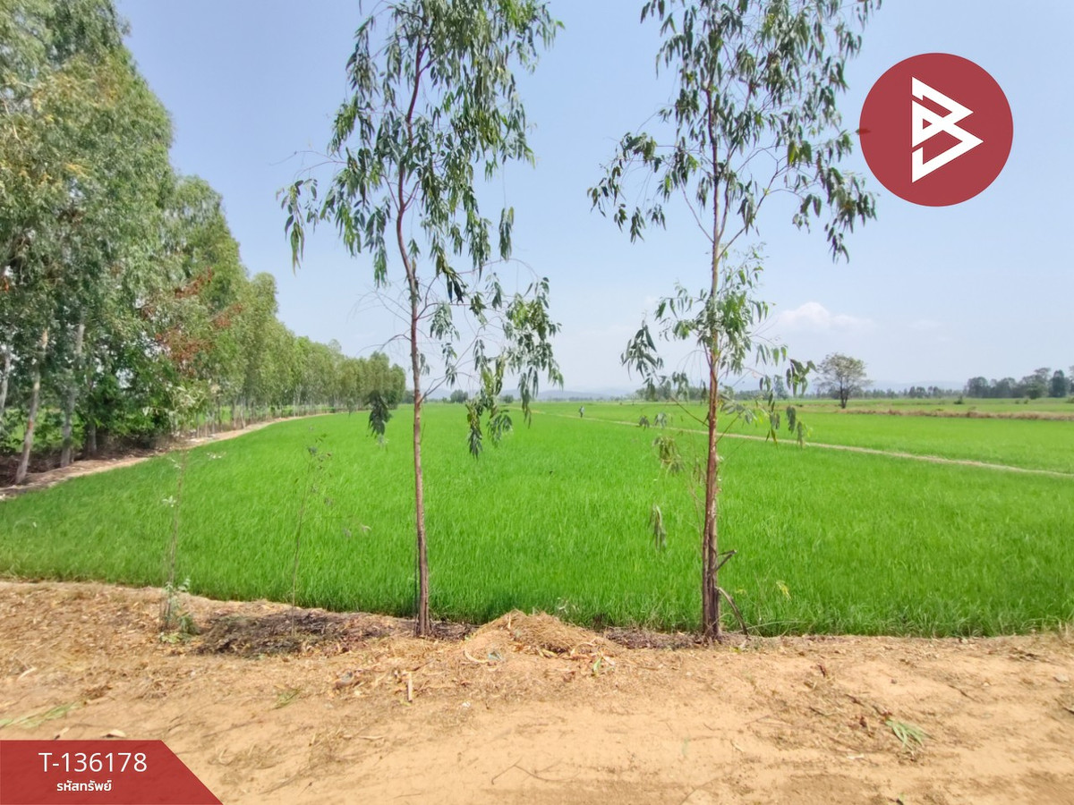 Land for sale, area 13 rai 3 ngan 60 sq m, Phichai, Uttaradit. – รูปที่ 4