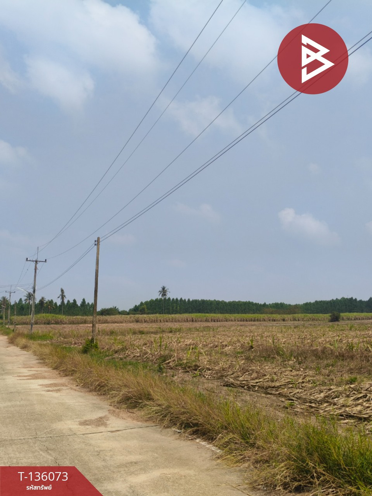 ขายที่ดิน เนื้อที่ 8 ไร่ 2 งาน 82.2 ตร.วา บ่อทอง ชลบุรี – รูปที่ 2
