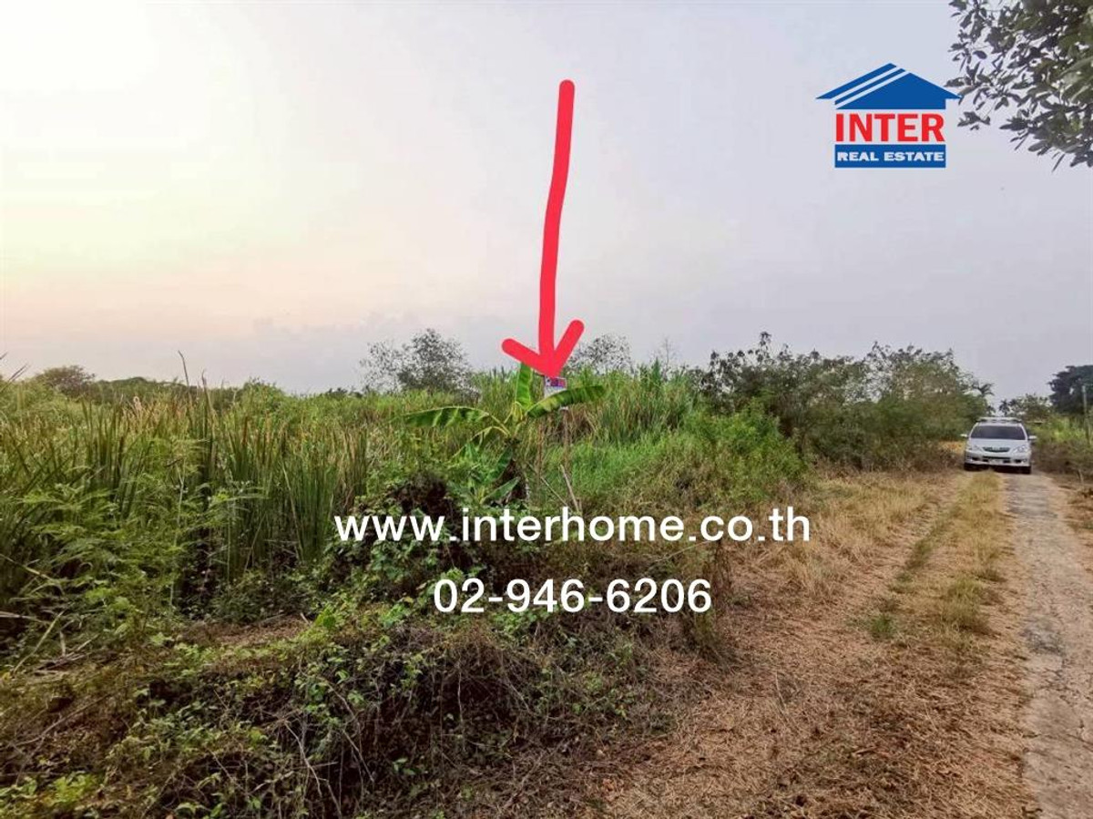 ที่ดินเปล่า 100 ตร.ว. ที่ดิน ใกล้อำเภอบางเลน ถนนทางหลวงแผ่นดินหมายเลข346 (ถนนปทุมธานี-บางเลน) บางเลน นครปฐม – รูปที่ 3