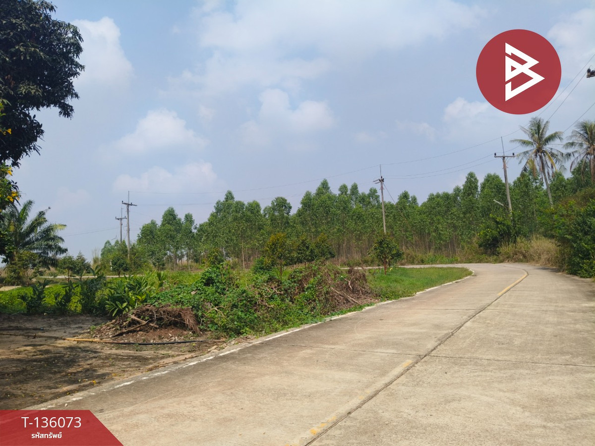 ขายที่ดิน เนื้อที่ 8 ไร่ 2 งาน 82.2 ตร.วา บ่อทอง ชลบุรี – รูปที่ 4