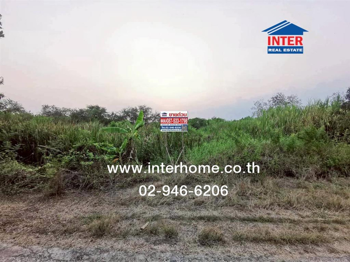 Empty land 100 sq m. land near Bang Len District. National Highway No. 346 (Pathum Thani-Bang Len Road) Bang Len Nakhon Pathom Empty land 100 sq m. land near Bang Len District. National Highway No. 346 (Pathum Thani-Bang Len Road) Bang Len Nakhon Pathom