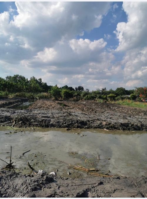 Empty land for sale, 1-2-14 rai, Lam Luk Ka, Khlong 13, Sai Klang, near the community, only 400 m into the alley.