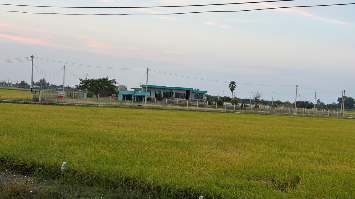 Garden house, mountain and rice field views all year round with 3 rai of land, U Thong, Suphan Buri, next to the main road, close to the city. – รูปที่ 3
