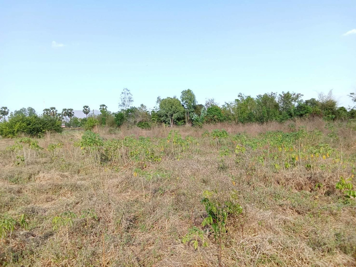 Large plot of land for sale, Thap Than District, Uthai Thani Province ** Price 299 baht/wa ** (N.2032) Large plot of land for sale, Thap Than District, Uthai Thani Province ** Price 299 baht/wa ** (N.2032)