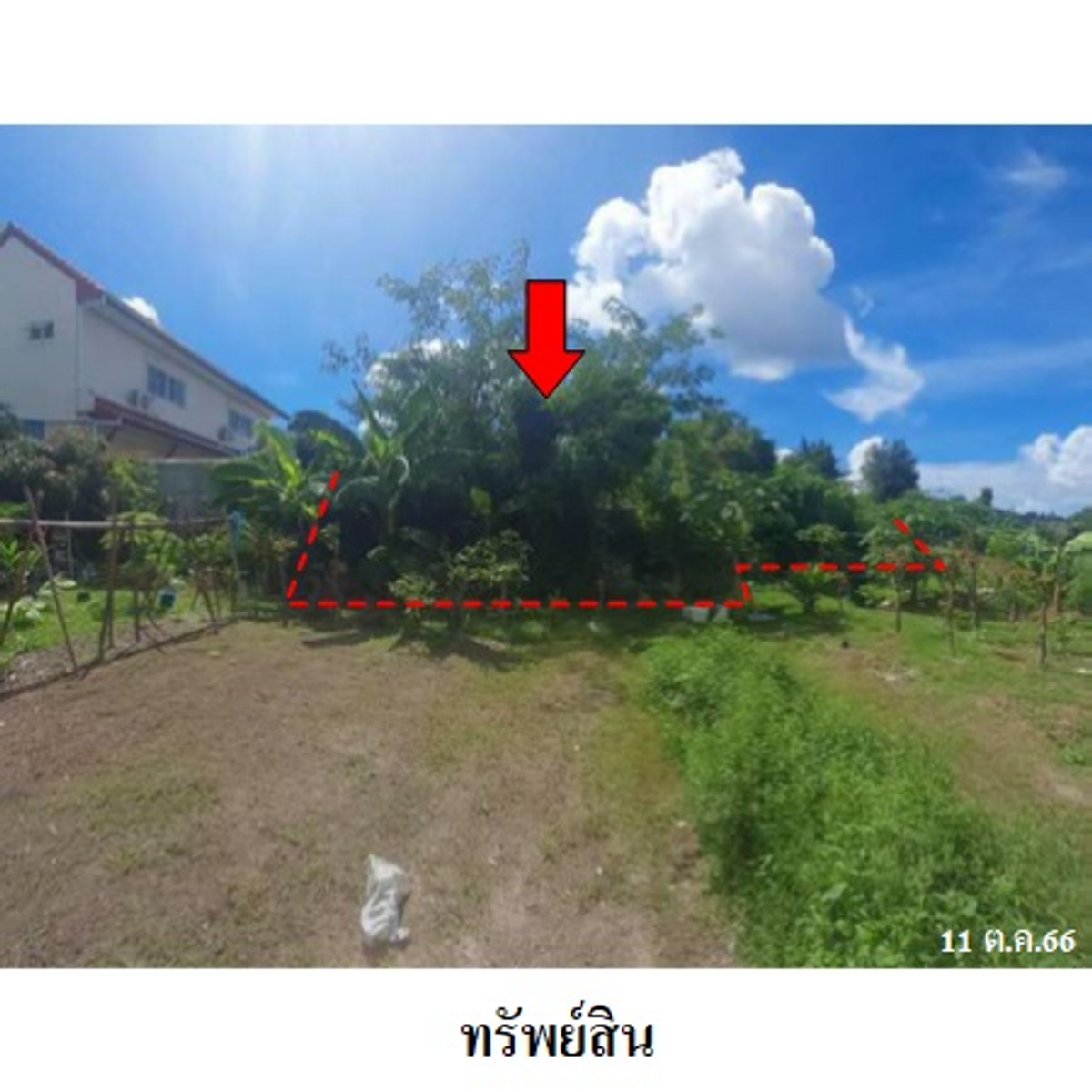Land for sale, Mueang District, Phuket.