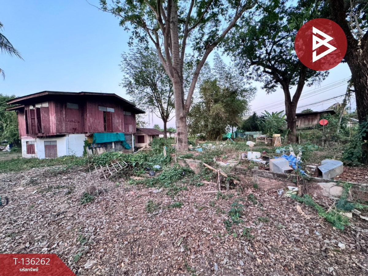 ขายที่ดิน เนื้อที่ 3 งาน 73.8 ตร.วา ในเมือง พิษณุโลก – รูปที่ 3