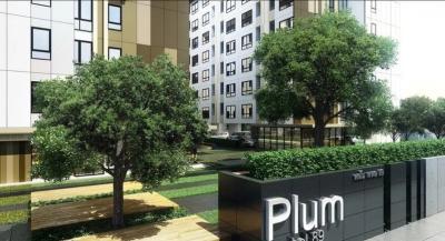 (A033775) Plum Condo Paholyothin 89