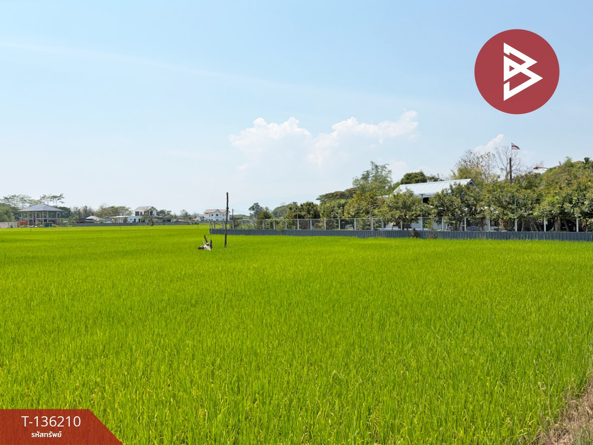 ขายที่ดิน เนื้อที่ 3 ไร่ 75.7 ตร.วา ดอยสะเก็ด เชียงใหม่ – รูปที่ 3