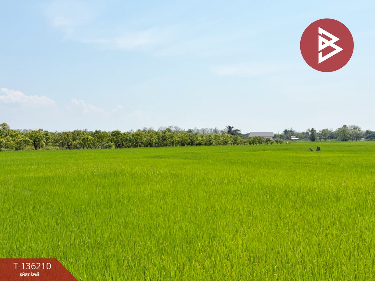 ขายที่ดิน เนื้อที่ 3 ไร่ 75.7 ตร.วา ดอยสะเก็ด เชียงใหม่ – รูปที่ 2
