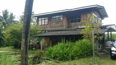 ขายที่ดินเปล่า ถนนประชาร่วมใจแถว วัดไร่ขิง ไร่ขิง สามพราน นครปฐม CX-148907