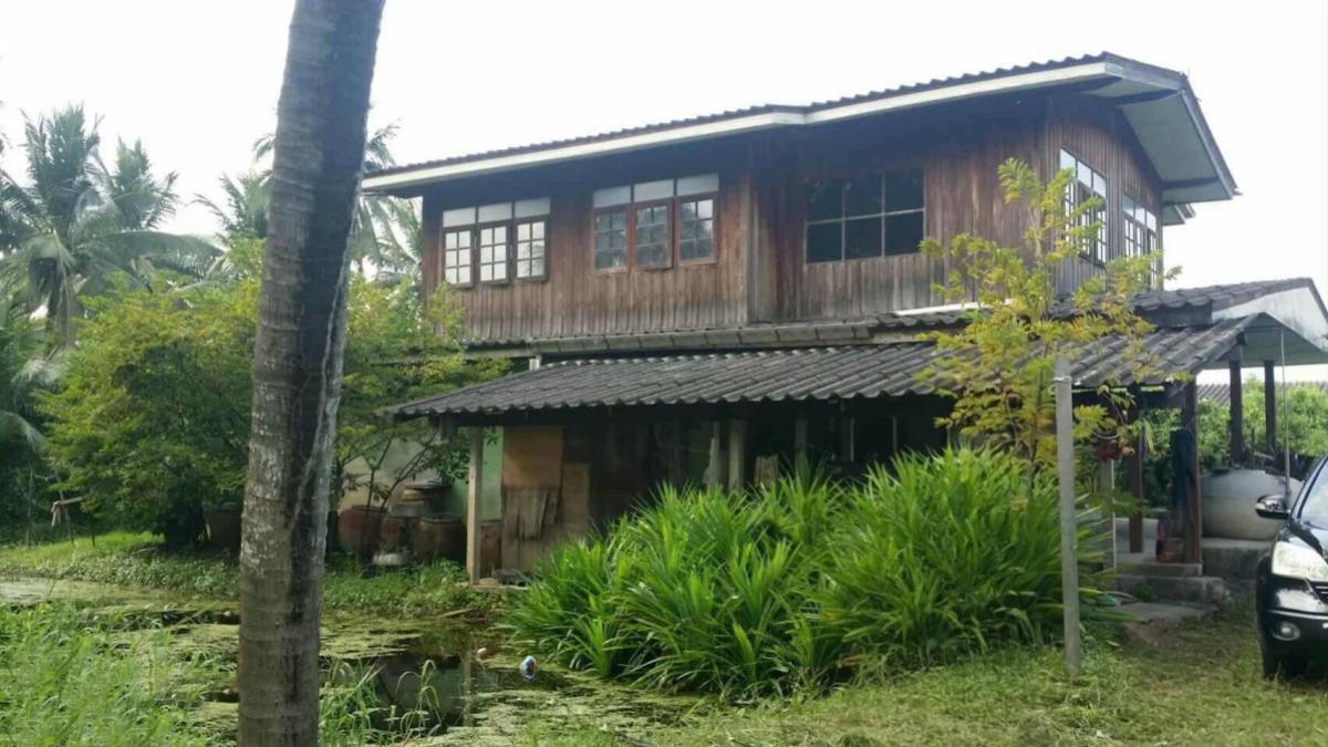 ขายที่ดินเปล่า ถนนประชาร่วมใจแถว วัดไร่ขิง ไร่ขิง สามพราน นครปฐม CX-148907