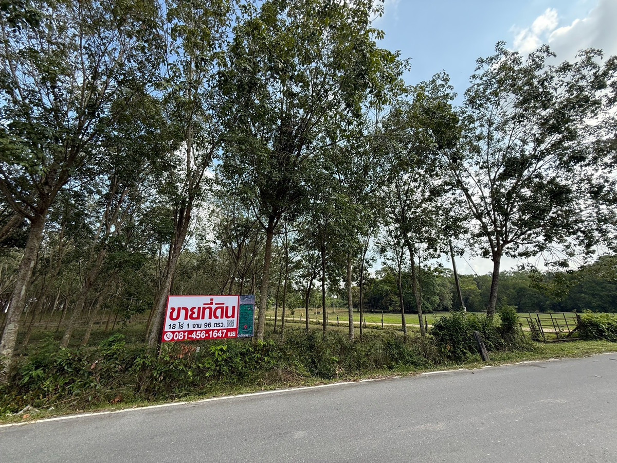 Land 18.5 rai, Hat Yai, near the main road, no flooding, 6 million baht per rai, title deed ready for transfer. – รูปที่ 3