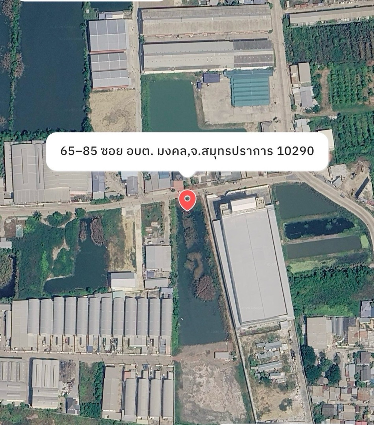 Land for sale or rent, red garuda title deed Land for sale or rent, red garuda title deed