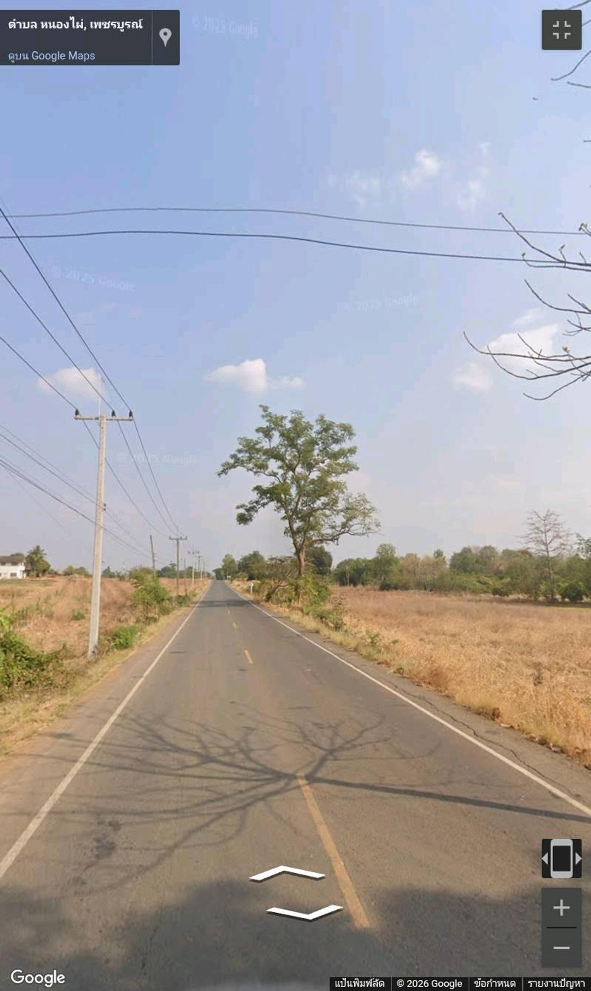 ขายที่ดินอำเภอหนองไผ่ จ. เพชรบูรณ์ ขายที่ดินอำเภอหนองไผ่ จ. เพชรบูรณ์