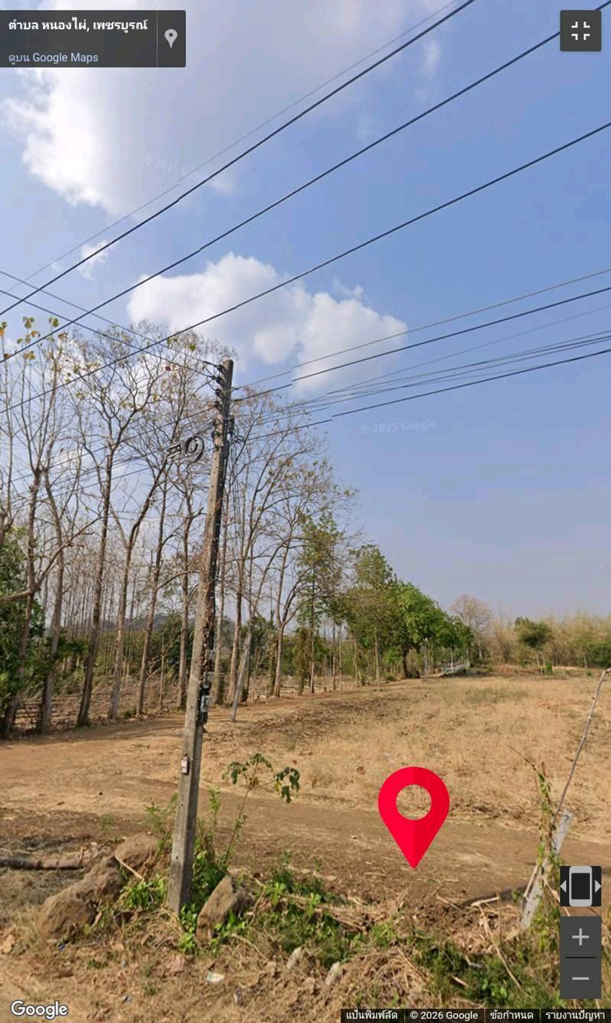 ขายที่ดินอำเภอหนองไผ่ จ. เพชรบูรณ์ – รูปที่ 3