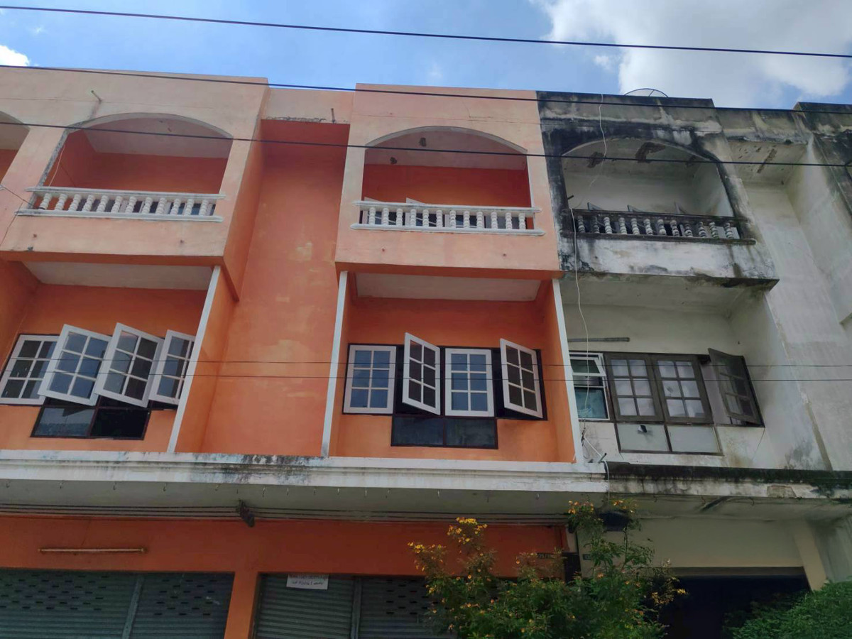JK 6214919 : กระทุ่มแบน	 – รูปที่ 2