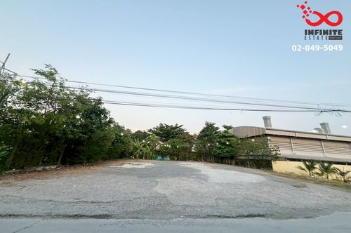 ขายที่ดิน 91 ตรว.ถมแล้ว ซอยประเสริฐมนูกิจ 25 (เกษตร-นวมินทร์) ลาดพร้าว 