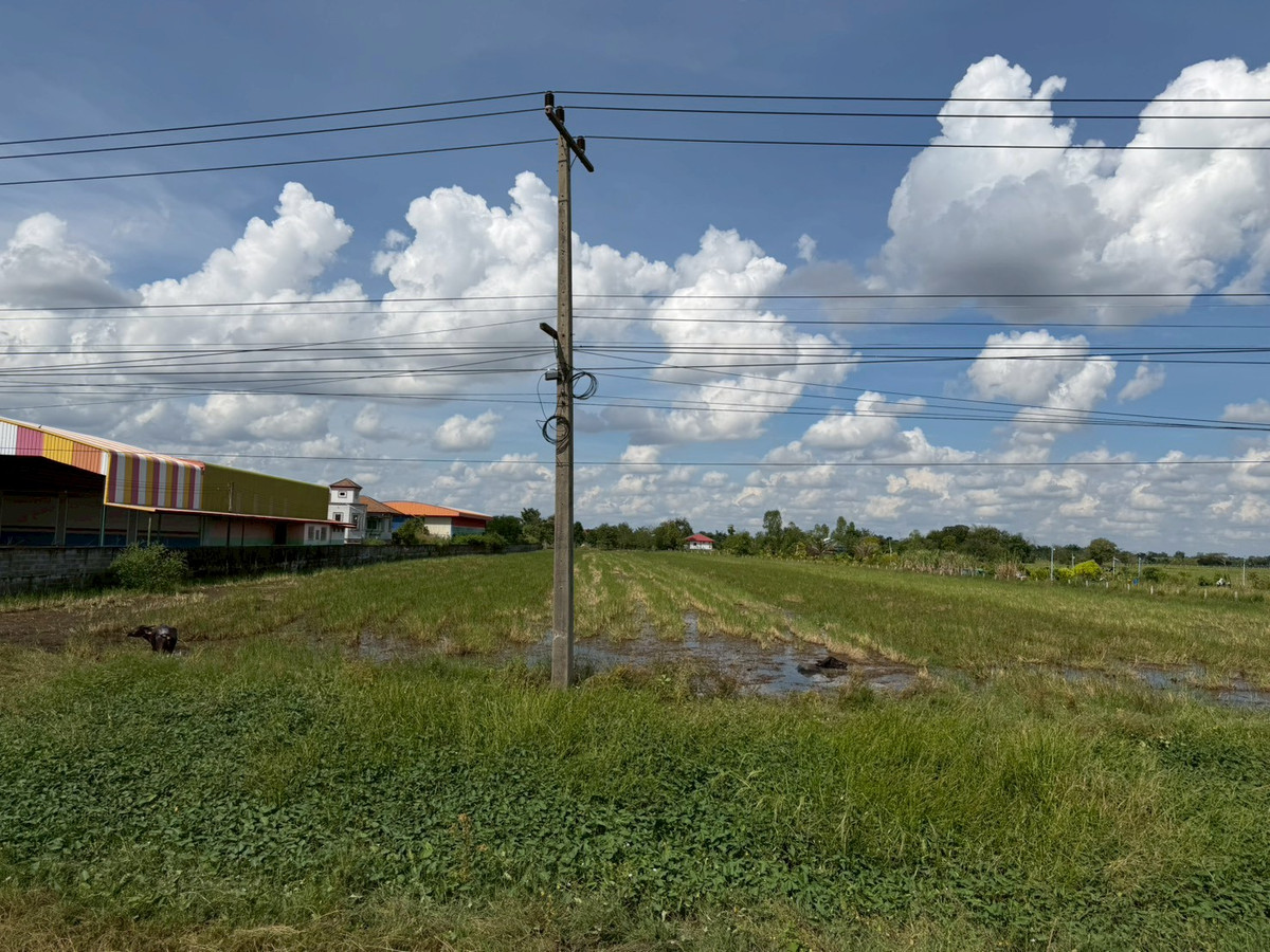 JK3 5488113 : Outside Surin project – รูปที่ 3