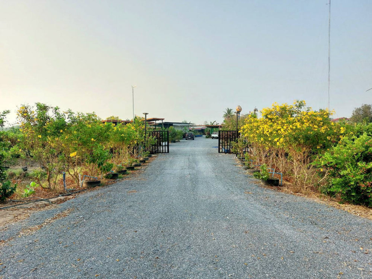 Call : 065-663-3286 Land for sell (Hoji Garden), 100 meters frontage, located on 3502 Road, Nong Ya Sai, Suphanburi – รูปที่ 4