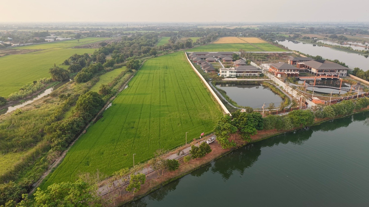 ขายที่ดินในสวนสาธารณะสวนวารีภิรมย์ ติดบ้านพักผู้สูงอายุ ซ.ประชาร่วมใจ47 บรรยากาศดีมาก 🍃🏝️ 