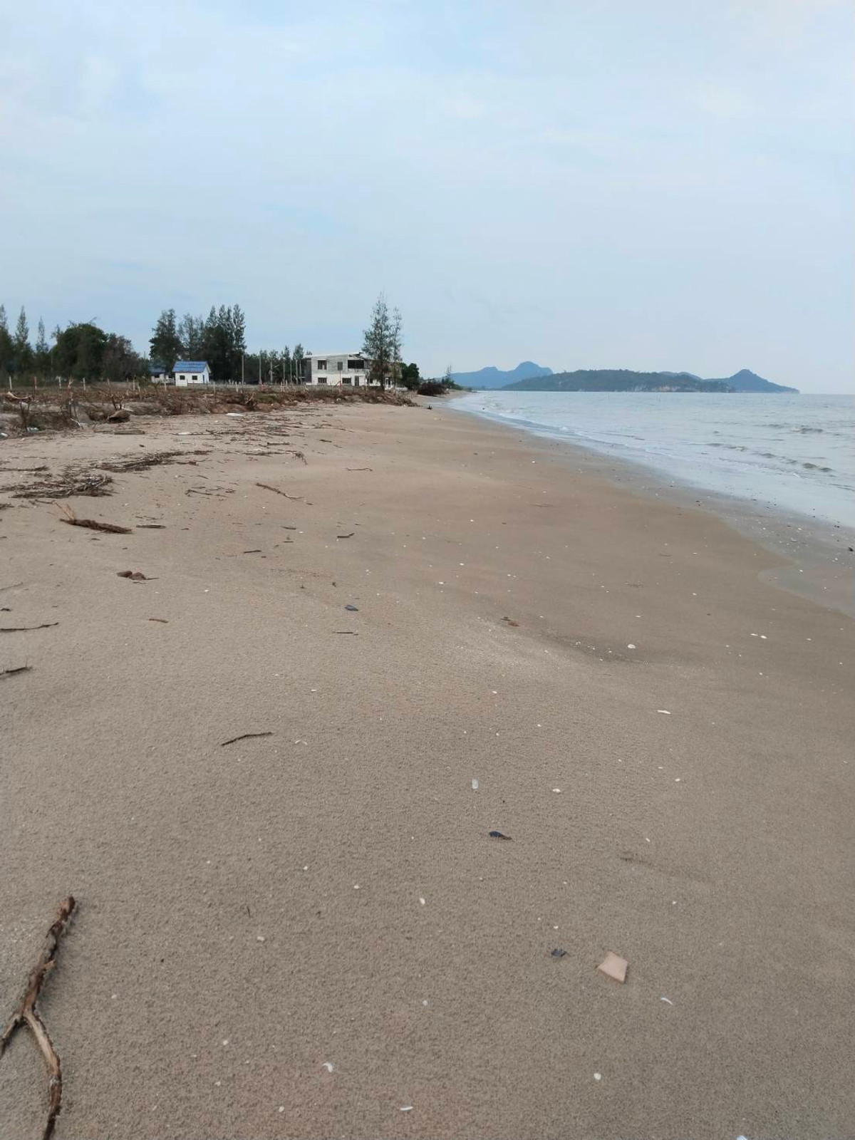ที่ดินติดทะเล อ.กุยบุรี 15 ไร่ 60 ตร.วา ที่สวย น้ำ ไฟ พร้อม – รูปที่ 4