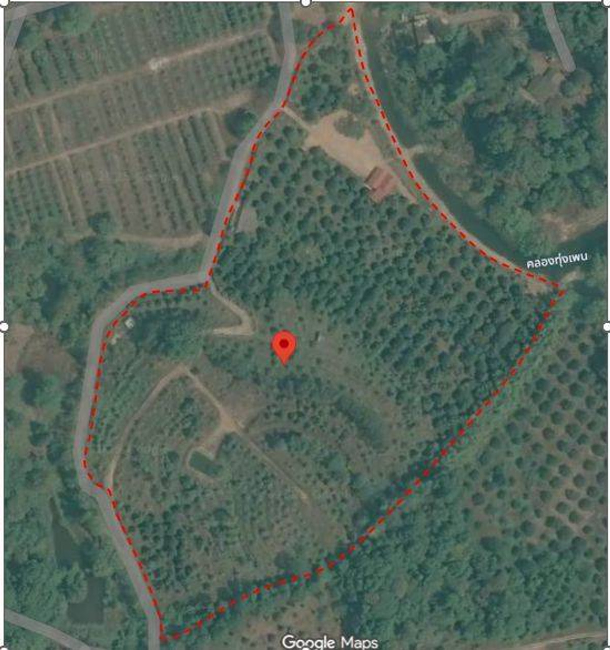 🌳 [FOR SALE] Premium Durian Orchard Investment – 34+ Rai Waterfront Land, Chanthaburi 👑 High-Yield Harvest | Perfect Water System | Residential House | Prime Location in Makham District! ✨ – รูปที่ 2