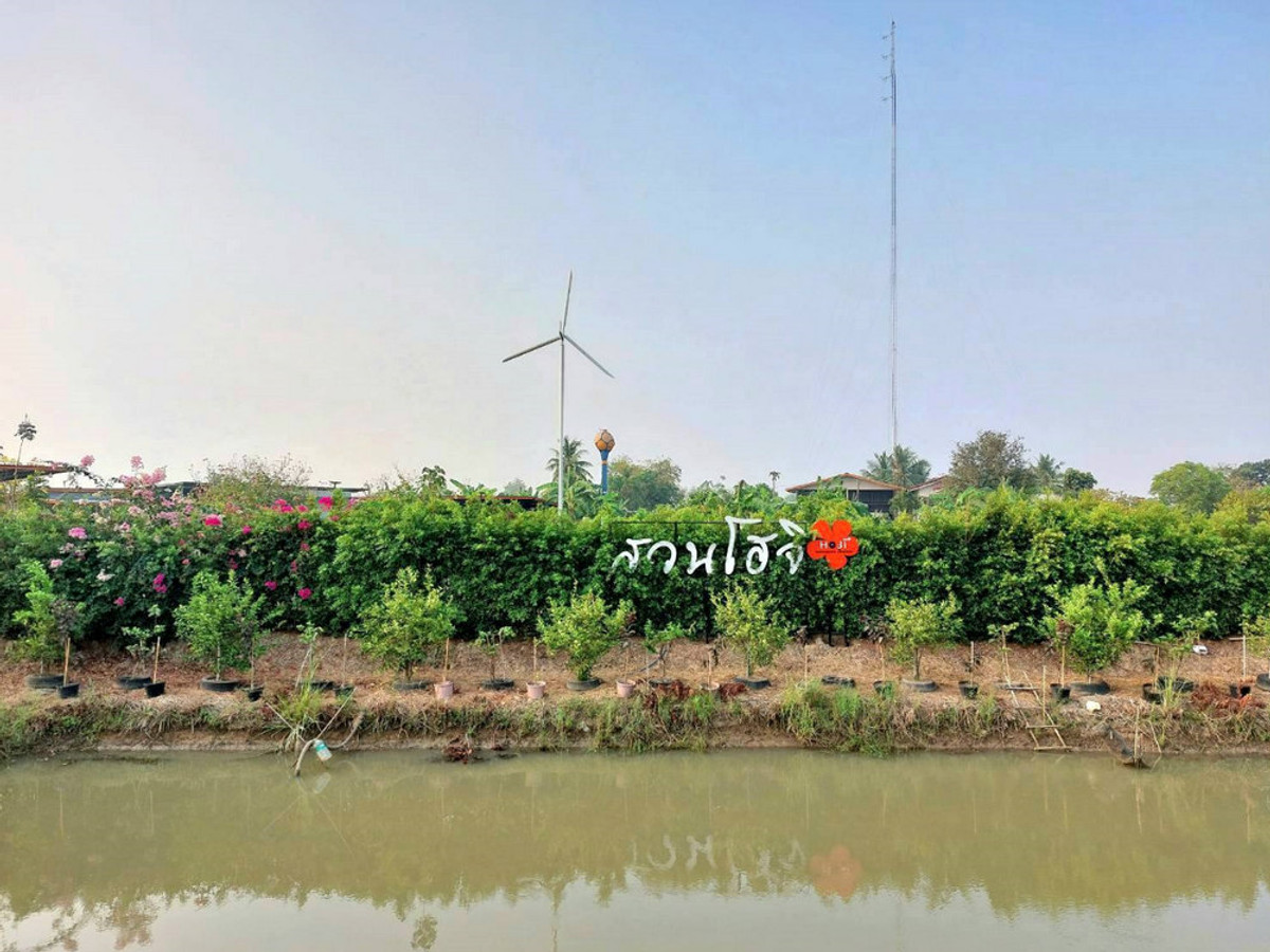 Call : 065-663-3286 Land for sell (Hoji Garden), 100 meters frontage, located on 3502 Road, Nong Ya Sai, Suphanburi – รูปที่ 2
