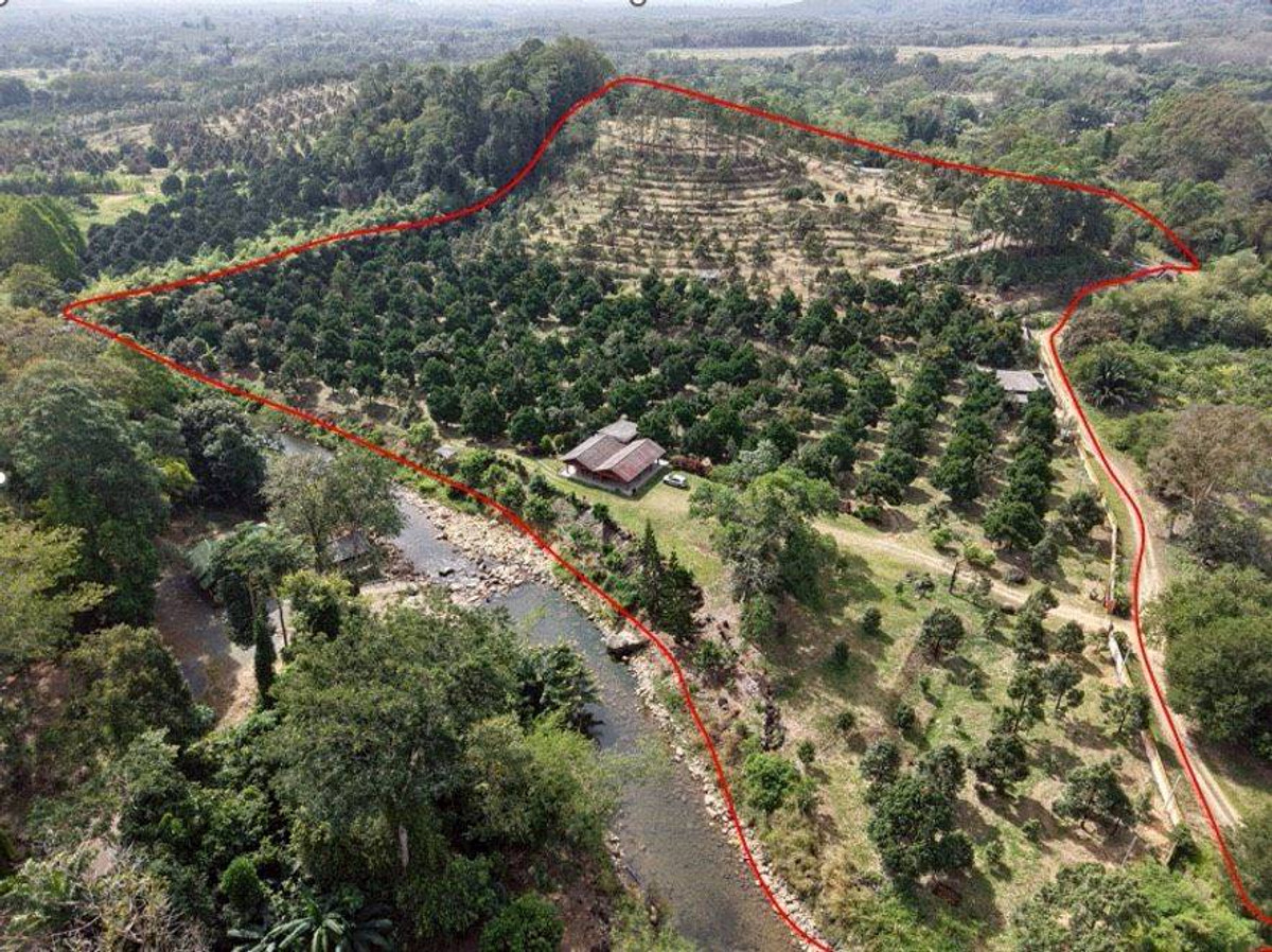 🌳 [FOR SALE] Premium Durian Orchard Investment – 34+ Rai Waterfront Land, Chanthaburi 👑 High-Yield Harvest | Perfect Water System | Residential House | Prime Location in Makham District! ✨