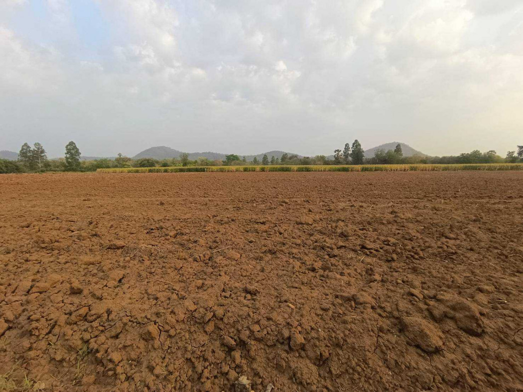 Land for sale, 21 rai 3 ngan 25 square wah, surrounded by nature. Ideal for investment and relaxation. – รูปที่ 2