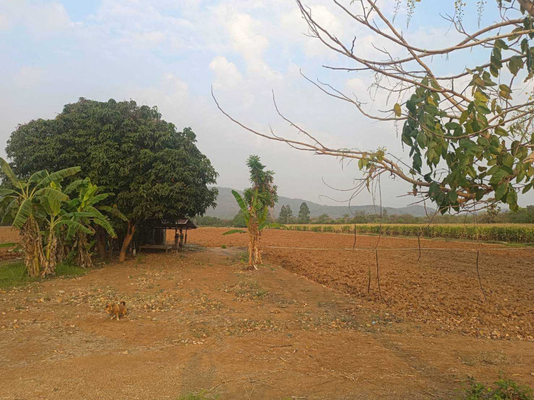 Land for sale, 21 rai 3 ngan 25 square wah, surrounded by nature. Ideal for investment and relaxation. – รูปที่ 3