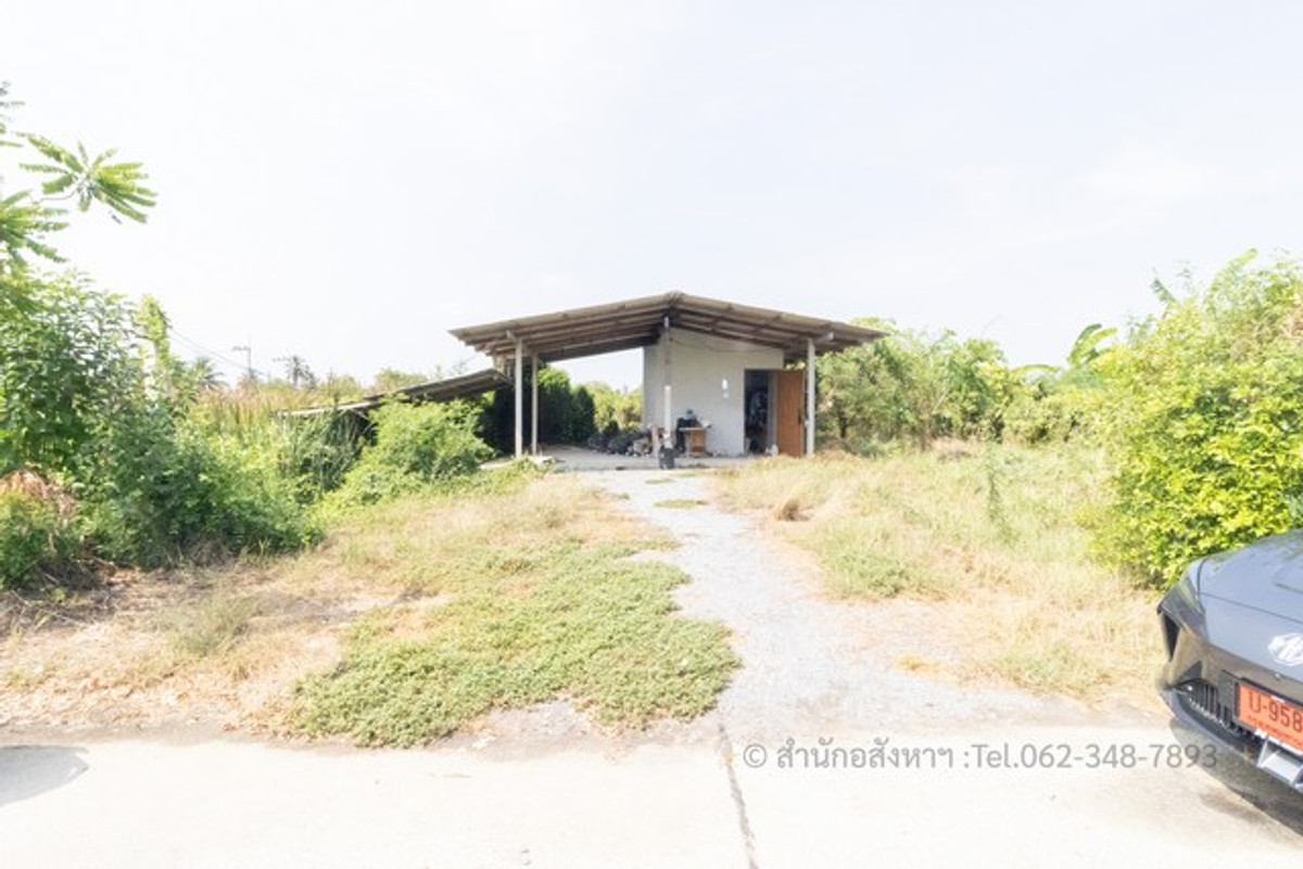 [ขาย] ที่ดินถมแล้ว แปลงสวยทำเลทอง สามพราน 12  ต.ท่าตลาด นครปฐม – พร้อมปลูกบ้านทันที! – รูปที่ 3
