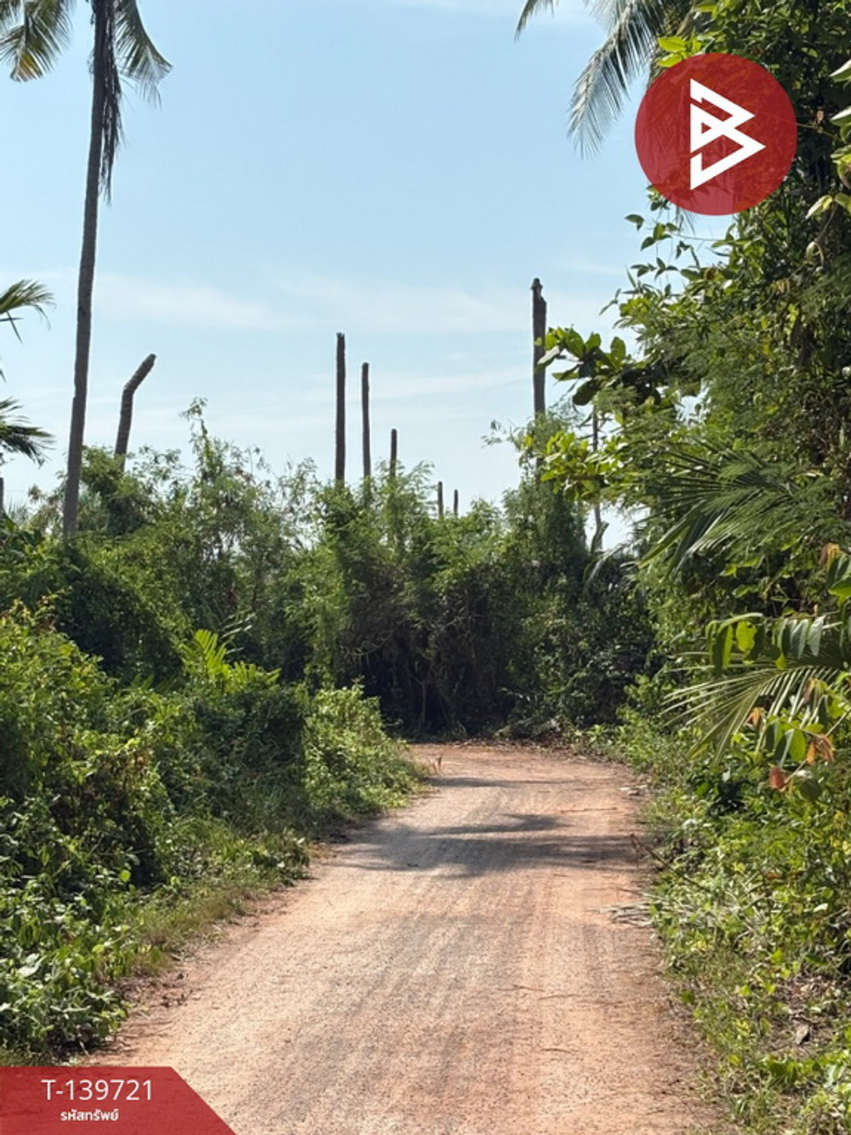 ขายที่ดิน เนื้อที่ 3 งาน ต.คลองเขิน เมืองสมุทรสงคราม ทำเลดี – รูปที่ 4