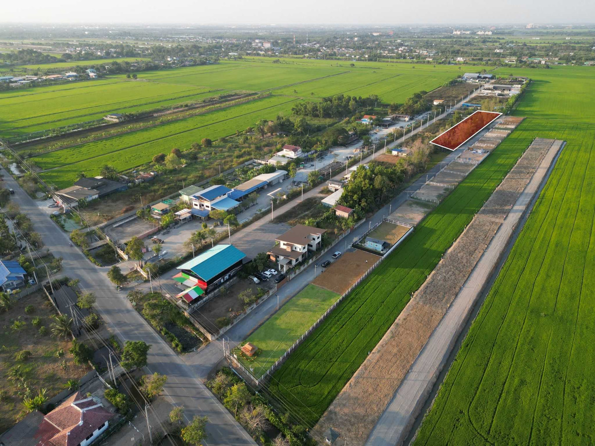 ขายที่ดิน 2 ไร่ ถมแล้ว บรรยากาศธรรมชาติ เหมาะสร้างบ้านหรือพัฒนาโครงการ – รูปที่ 4
