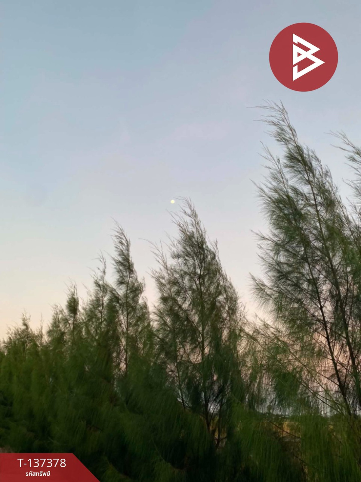 Beautiful land for sale, area 18 rai 2 ngan 94 square wah, Bang Chan Subdistrict, Phetchaburi. – รูปที่ 4
