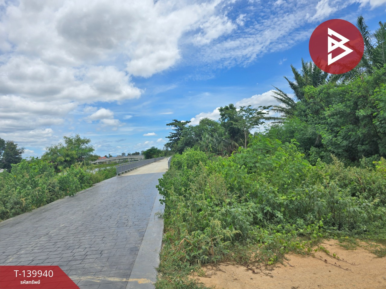ขายที่ดิน เนื้อที่ 12 ไร่ 20 ตร.วา ท่ายาง เพชรบุรี – รูปที่ 3