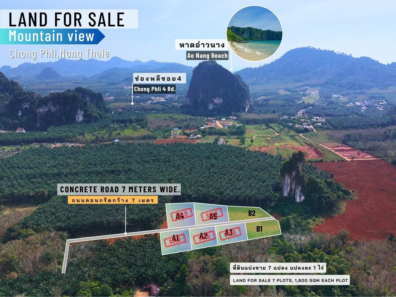 Land Plots for Sale – Chong Phli Soi 4 Krabi, กระบี่ – รูปที่ 3