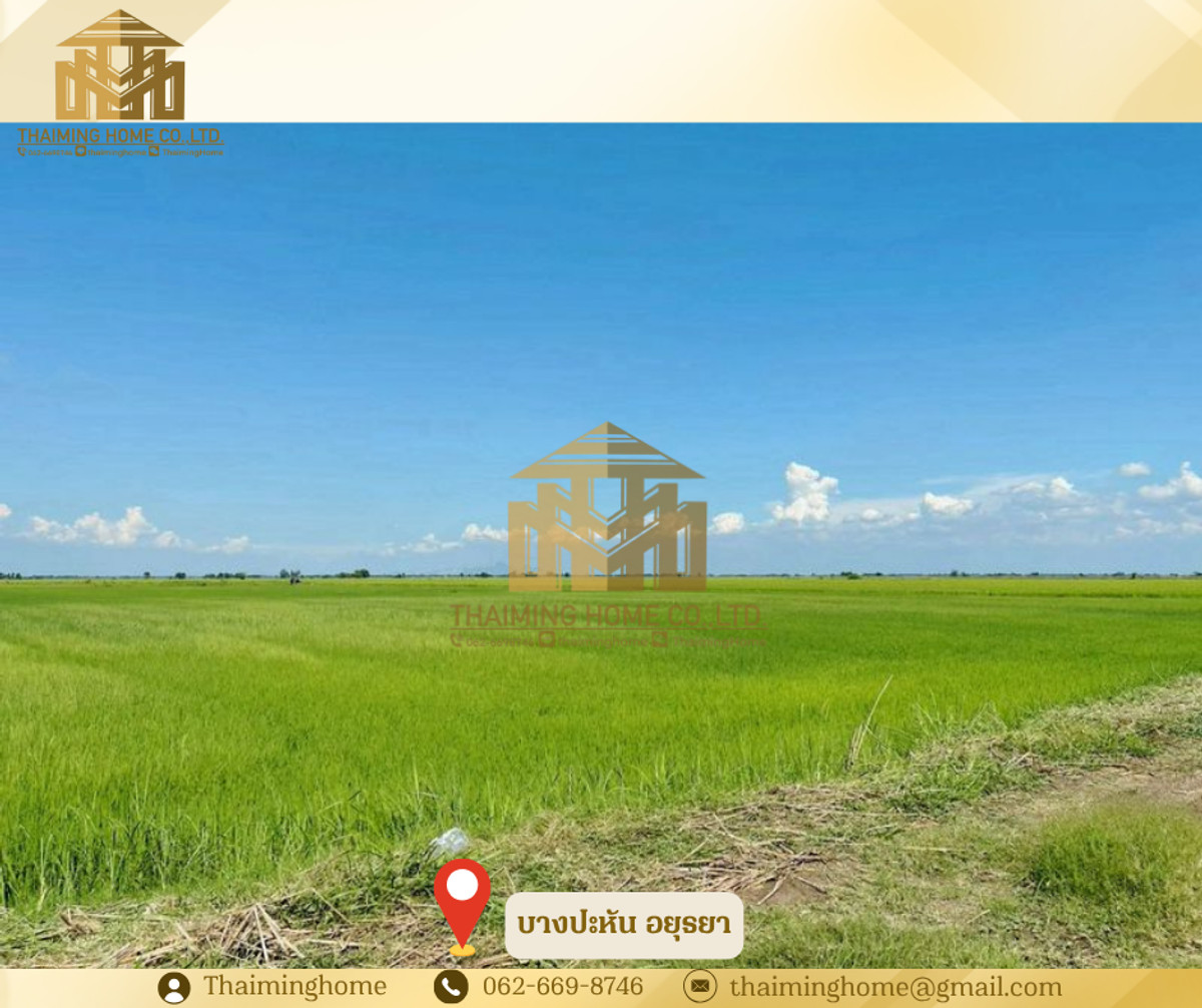 ขาย ที่นา 20 ไร่ 22 ตรว.ครุฑแดง  บางปะหัน พระนครอยุธยา   (TL07-0226) – รูปที่ 2