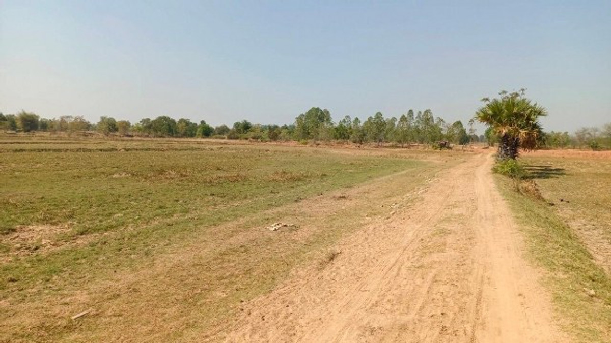 PZ1161: Cheap land for sale, area 22 rai 2 ngan 84 sq m, good location, near public roads. Han Huai Sai Subdistrict, Prathai District, Nakhon Ratchasima Province – รูปที่ 4