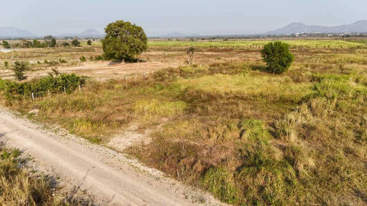 Land Plot for Sale 1-Rai Near Silpakorn University, Cha-am – รูปที่ 3