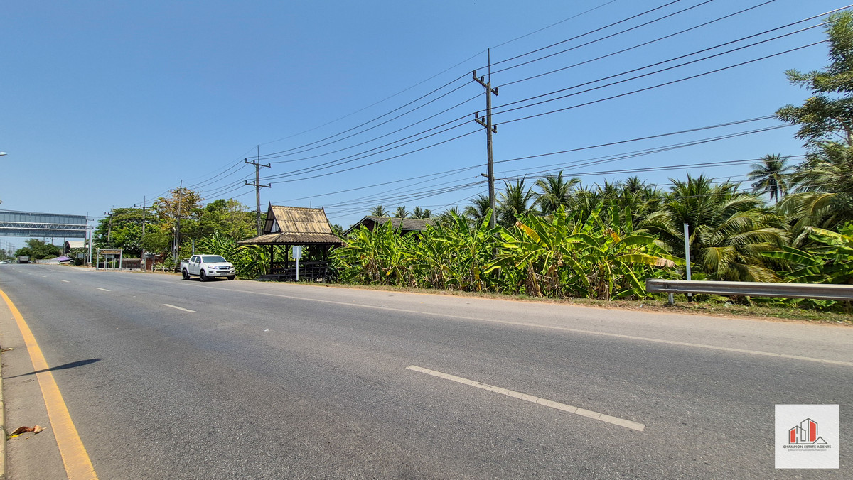 ขายที่ดินติดถนนใหญ่ ขนาด 4 ไร่กว่า ใกล้วัดดอนมโนราห์ อ.บางคนที สมุทรสงคราม ทำเลดีมาก ขายที่ดินติดถนนใหญ่ ขนาด 4 ไร่กว่า ใกล้วัดดอนมโนราห์ อ.บางคนที สมุทรสงคราม ทำเลดีมาก