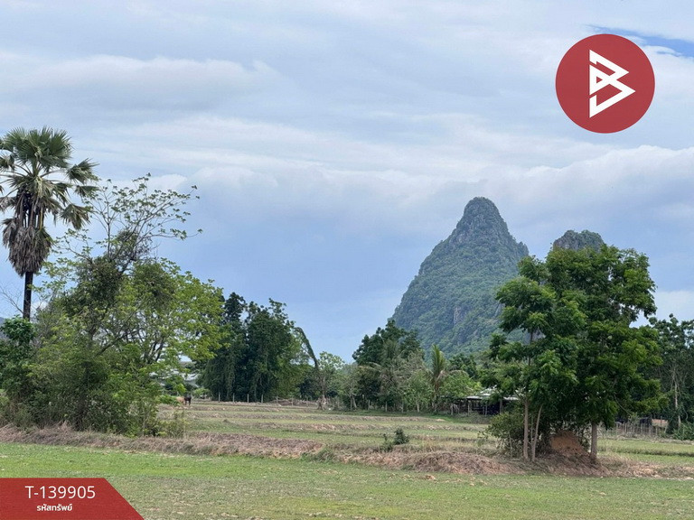 ขายที่ดิน เนื้อที่ 13 ไร่ เขาย้อย เพชรบุรี – รูปที่ 3