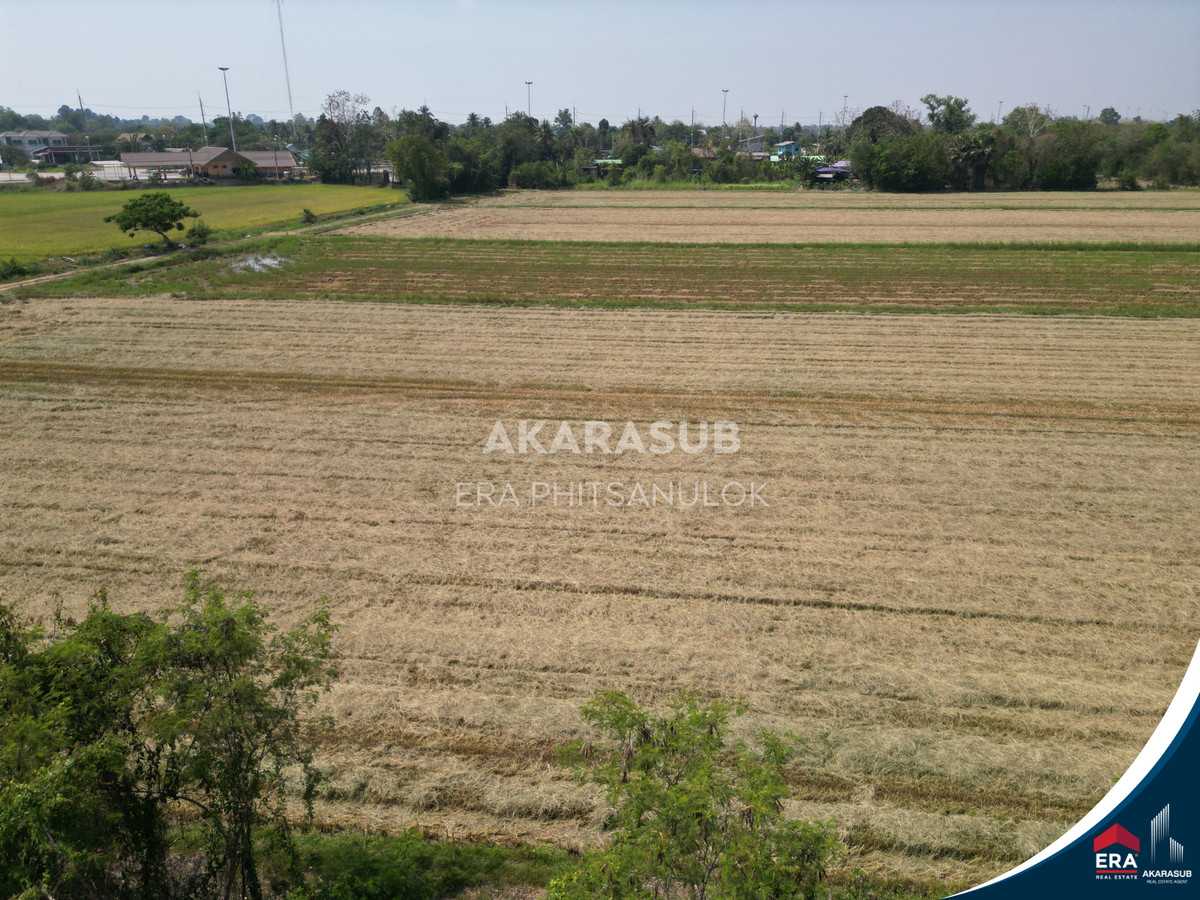 ขายที่ดินสวย ใกล้ม.นเรศวร ใกล้ถนนสาย117 200เมตร – รูปที่ 2