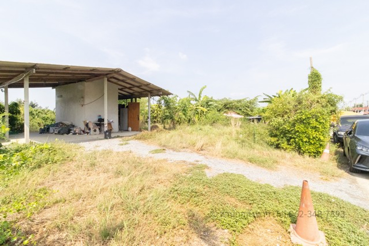 [ขาย] ที่ดินถมแล้ว แปลงสวยทำเลทอง สามพราน 12  ต.ท่าตลาด นครปฐม – พร้อมปลูกบ้านทันที! – รูปที่ 4