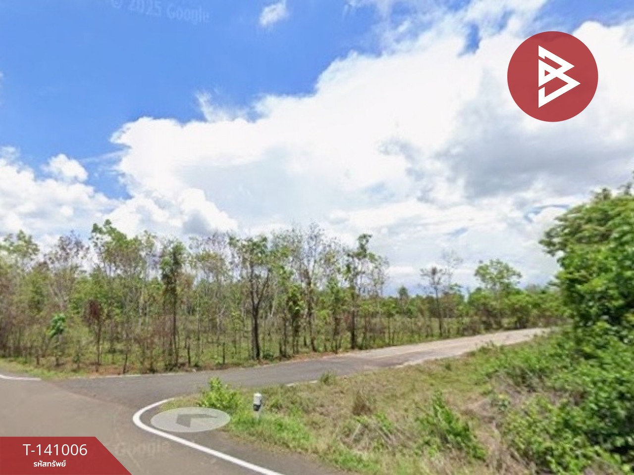 ขายที่ดิน เนื้อที่ 11 ไร่ 3 งาน 72 ตร.วา ปลาปาก นครพนม – รูปที่ 2